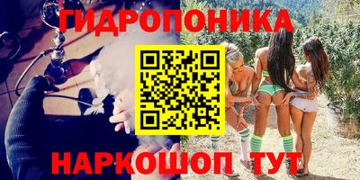 сатива Гусиноозёрск