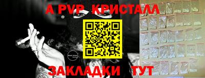 a pvp Гусев