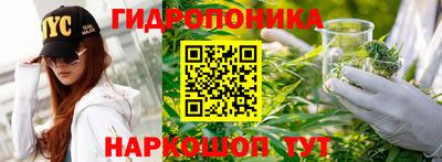a pvp Гусев