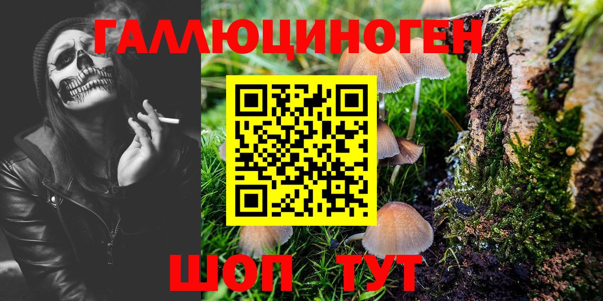 Нефтекамск  Галлюциногенные грибы MAGIC MUSHROOMS  Вход с VPN 